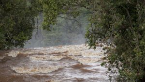 A picture of a brown river with trees hanging over it.