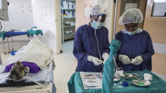 Two medical staff in the operating theatre preparing for a cataract operation.