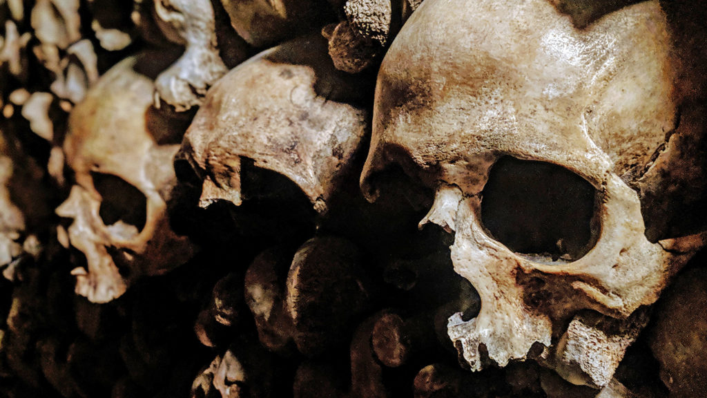 A close-up of old human skulls.