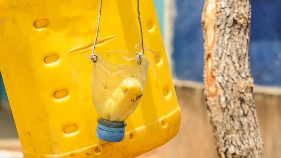 Soap hangs in an empty plastic bottle next to the tippy tap.