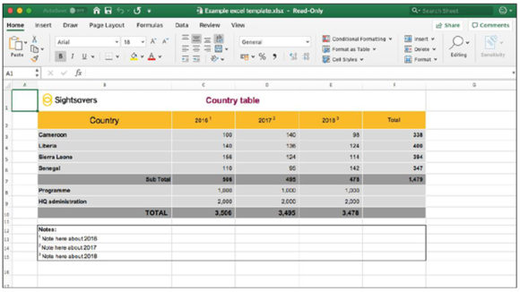 An example of a Sightsavers-branded Excel document, featuring a table with a yellow header and grey rows.