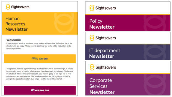 Examples of Sightsavers internal emails, with the headings 'Human resources newsletter', 'Policy newsletter', 'IT department newsletter', 'Corporate services newsletter'.