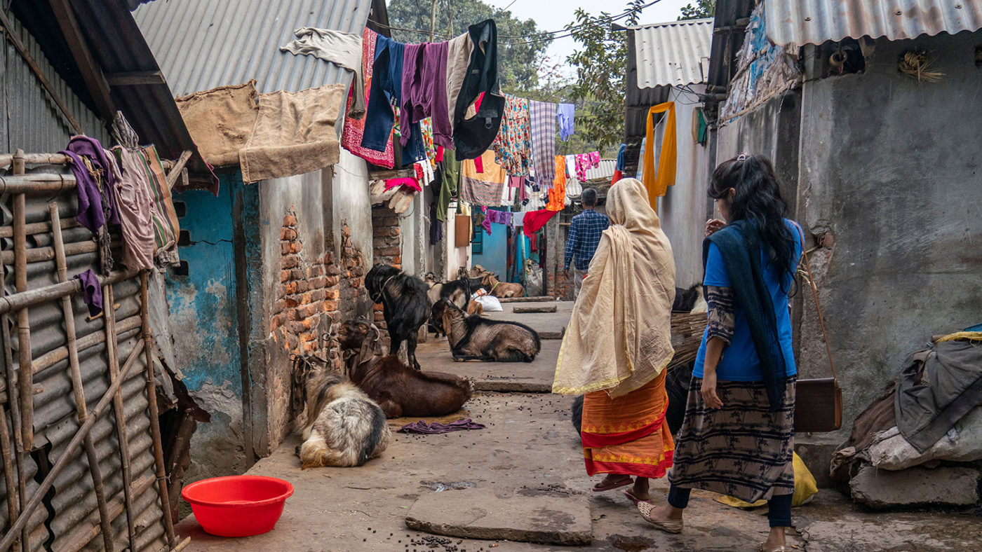 Two women walk on a path next to goats.