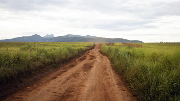 A landscape in rural Cameroon, showing a dirt road surrounded by tall grass with mountains in the background.