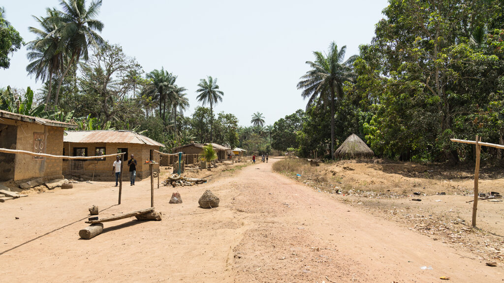 A remote village with a dusty road running through it. There are lush green palm trees in the background.