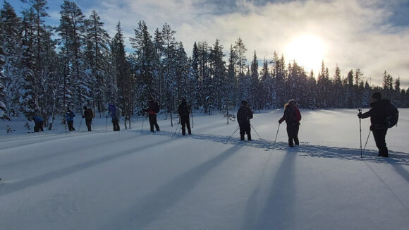 A long line of people using skis trek across a frozen landscape. In the background, the sun is setting over some fir trees.