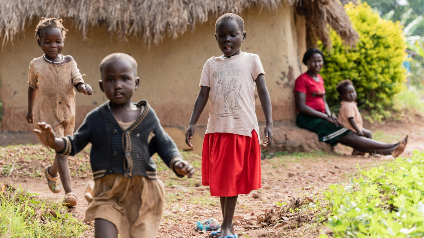 Happy attempts to follow and play with two friends.