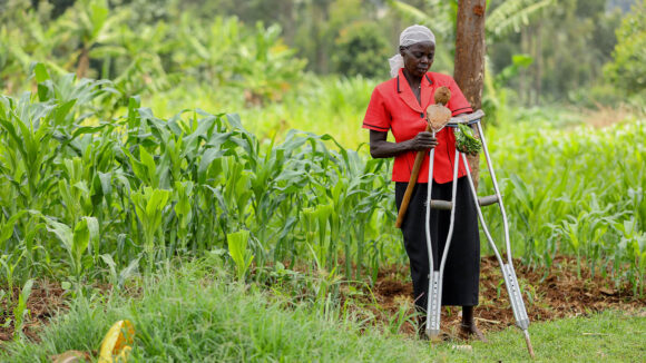 A female sorghum farmer stands in a field assisted by crutches.