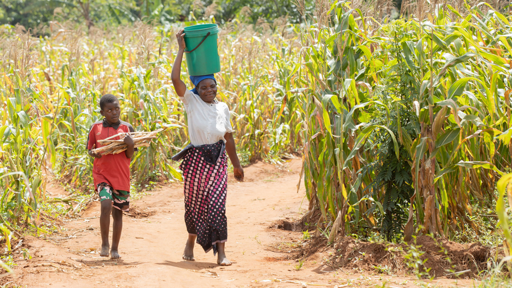 Walking along a dusty road, a Chisomo carries wood and his mother carries a bucket of water on her head.