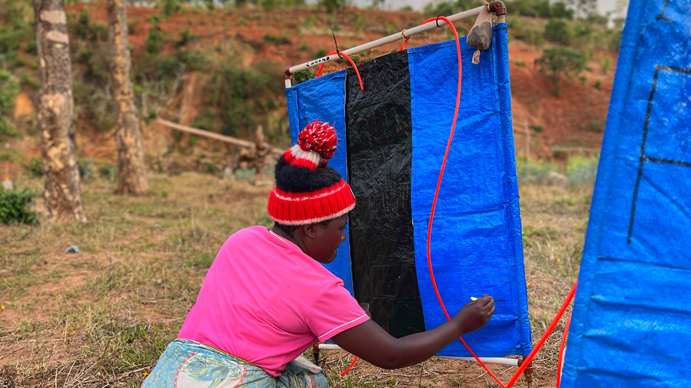 A woman draws on a blackfly trap, which consists of a square piece of blue tarpaulin attached to a wooden frame.